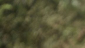 Los guerrilleros deben entregar 7 mil armas hasta el 20 de junio.