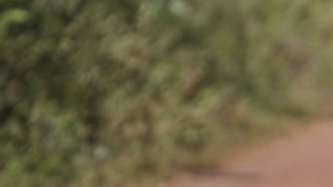 Los guerrilleros deben entregar 7 mil armas hasta el 20 de junio.