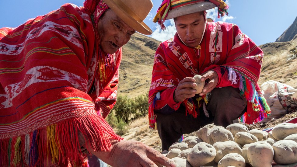 Chuño: el secreto milenario de los Andes para lograr que una papa dure 20 años