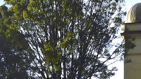 El observatorio formó parte de la Expedición Botánica en el virreinato de la Nueva Granada.