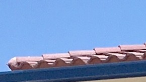 Centro de Detención de Adelanto.