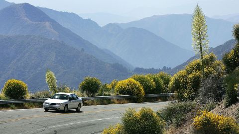 Muchos disfrutan de los paisajes de Angeles Crest Highway en primavera y verano.