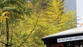 El ferrocarril mide sólo 96 metros