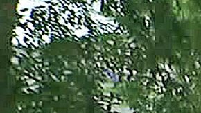 Casa robada en Arcadia.