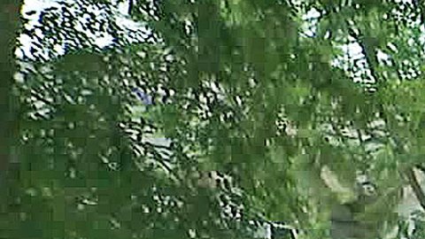 Casa robada en Arcadia.