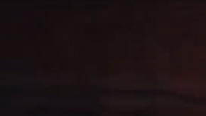 Fuego en la tienda de animales.