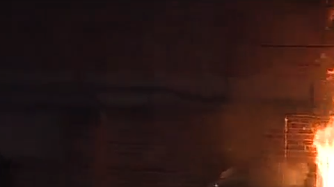 Fuego en la tienda de animales.