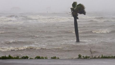 Tormenta tropical Cindy