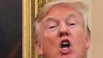 El presidente dice que los reporte no son más que "Fake News"