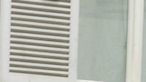 Bella Hadid Flashes her Perfect Tan & Abs in Tiny Bra & Snake Jacket