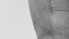 Con la campaña "I am an Immigrant", se celebra el Mes de la Herencia Inmigrante en junio (Foto proporcionada)