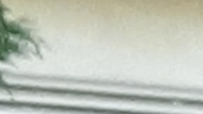 Una persona puede ser identificada como miembro de una pandilla si cumple con dos o más criterios