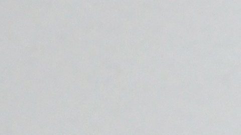 Shannon de Lima | Getty Images