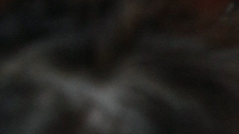 El programa se extenderá hasta el 4 de agosto.