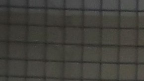 No anticipan que el Centro de Detención de Adelanto vaya a cerrar.(Getty Images)