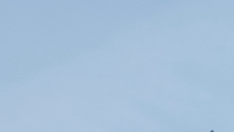 Las becas serán entregadas a través del Concejo de Federaciones Mexicanas (COFEM)