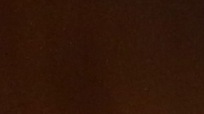 Hasta el momento solo se ha detenido a un conductor del servicio privado de transporte