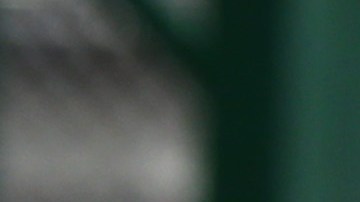 Juan Sánchez, el fundador y director de Southwest Key renunció ante la presión