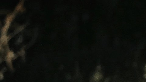 Se conoció la foto de su fiesta de cumpleaños número 16