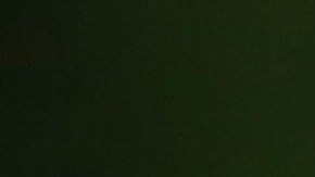 Putin siempre ha negado cualquier labor suya para influenciar las pasadas elecciones