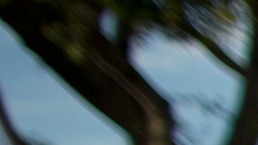 La lucha de la comunidad LGBTQ sigue adelante.