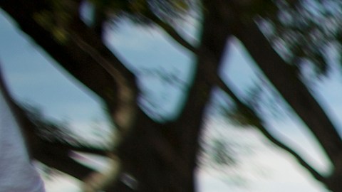 La lucha de la comunidad LGBTQ sigue adelante.