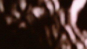 WWE UFC Mayweather McGregor Boxeo