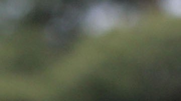 El mexicano podría aplicar para una Visa U para víctimas de crímenes