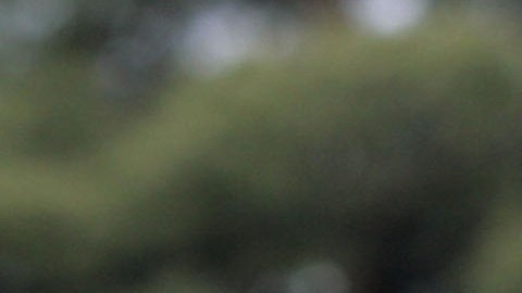 El mexicano podría aplicar para una Visa U para víctimas de crímenes