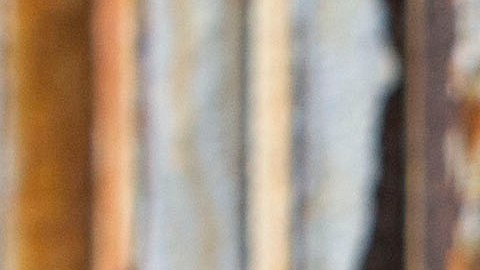 La mano dura de Trump tiene en jaque a miles de indocumentados