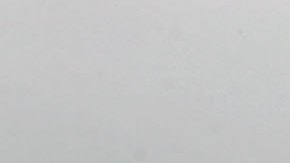 El clima de junio es perfecto, ya que no hace demasiado calor, ni demasiado frío.