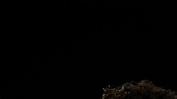 El delantero brasileño Neymar firmó su segunda ampliación de contrato con Barcelona