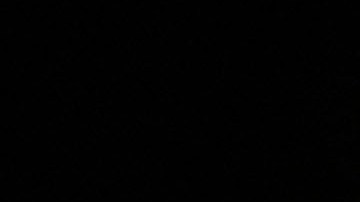 “Moveon.org” promueven una campaña para lograr un juicio político del presidente.