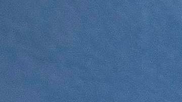 Se prevé un dictamen para fines de junio próximo.