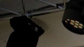 Los refugiados son el grupo social que más aplica para la ciudadanía en EEUU.