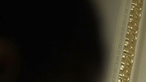 Los demócratas rechazan el proyecto del presidente Trump.