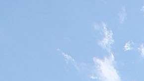 Los demócratas han expresado su preocupación sobre la reforma de salud.