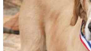 Alcalde de Idyllwild Max II.