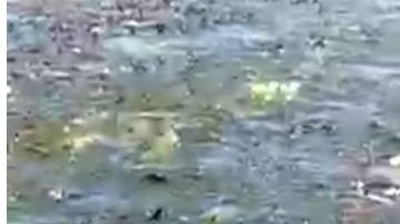 Grandes inundaciones continúan en el centro Argentina.