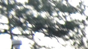 En abril Miami recibió una amenaza para que cumpliera con la peticiones de ICE o de lo contrario perdería recursos públicos