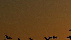 Ciudades más sexuales