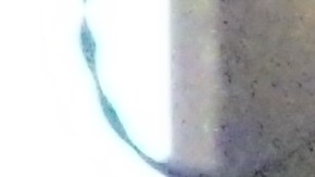 Lucha libre de campeonato en la Arena Hayward.