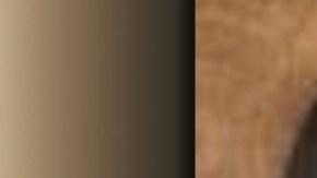 La adolescente Danielle Renea Thompson de 14 años.