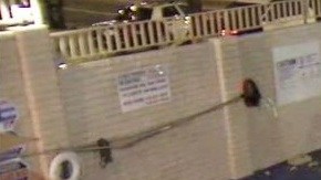 La camioneta en la piscina del Vagabond Inn.