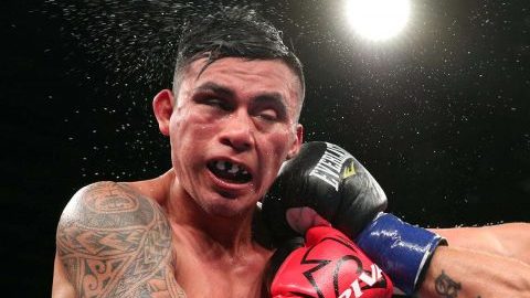Boxeo