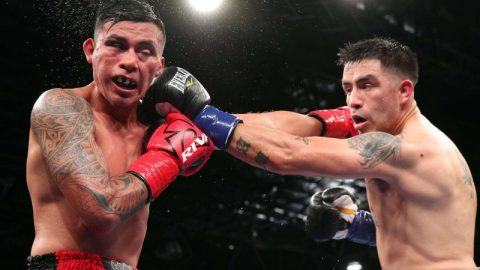 Boxeo