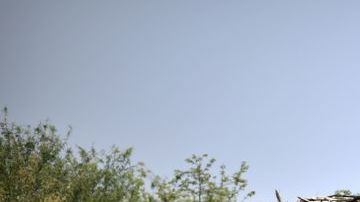 Trabajadores cargan un camión de caña de azúcar en Atencingo, Puebla.