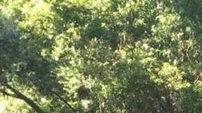 Coche de policía cerca del parque River Bend.