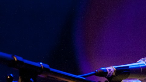 Vieux Farka Touré.