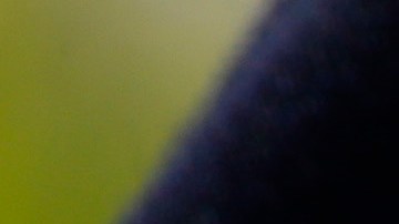 Fotos generales de la Policía de Anaheim. (Photo Aurelia Ventura/ La Opinion)